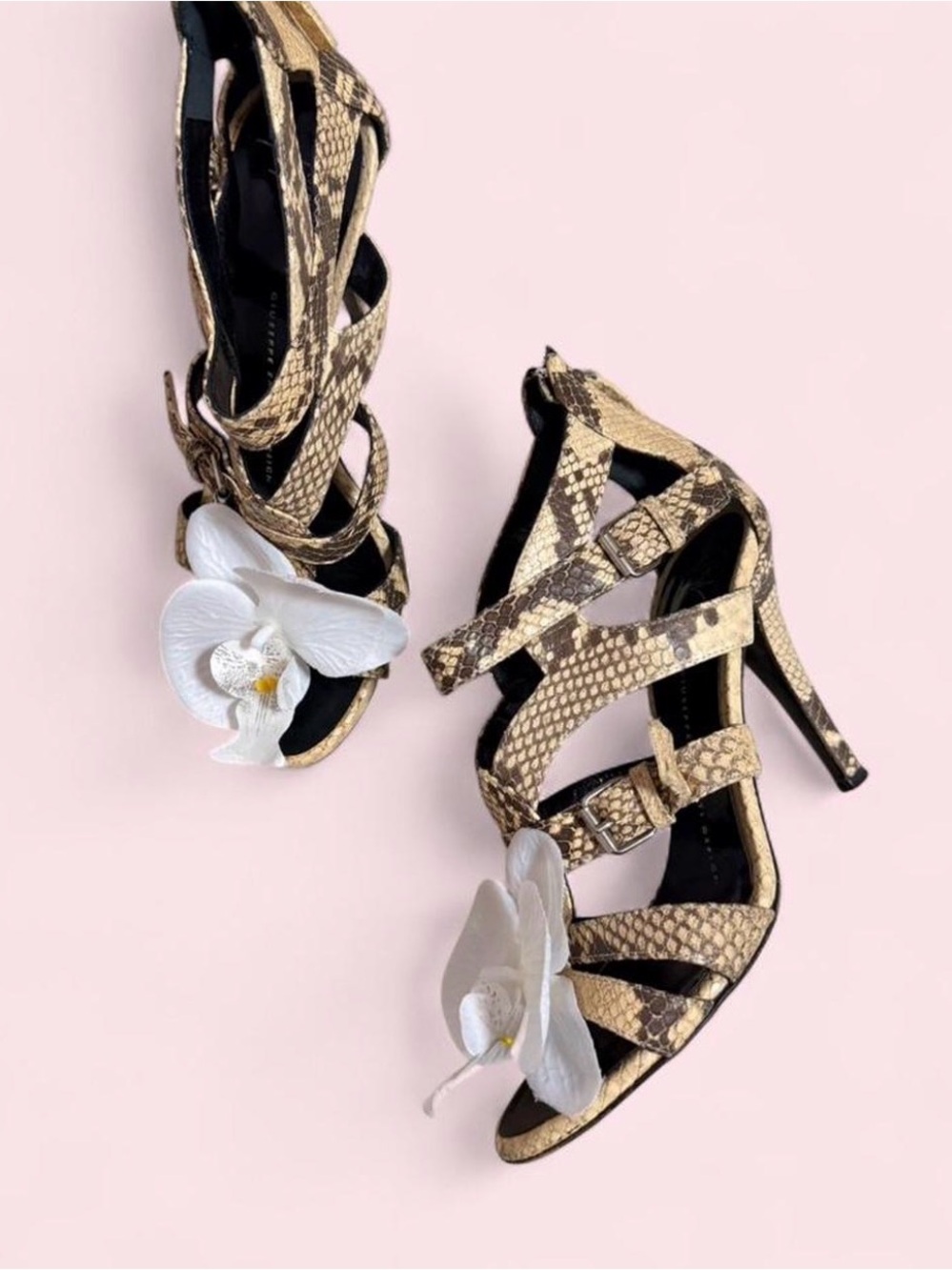 Giuseppe ZANOTTI heels sandals shoes heels pumps 36 6 Y2K orchid flower python